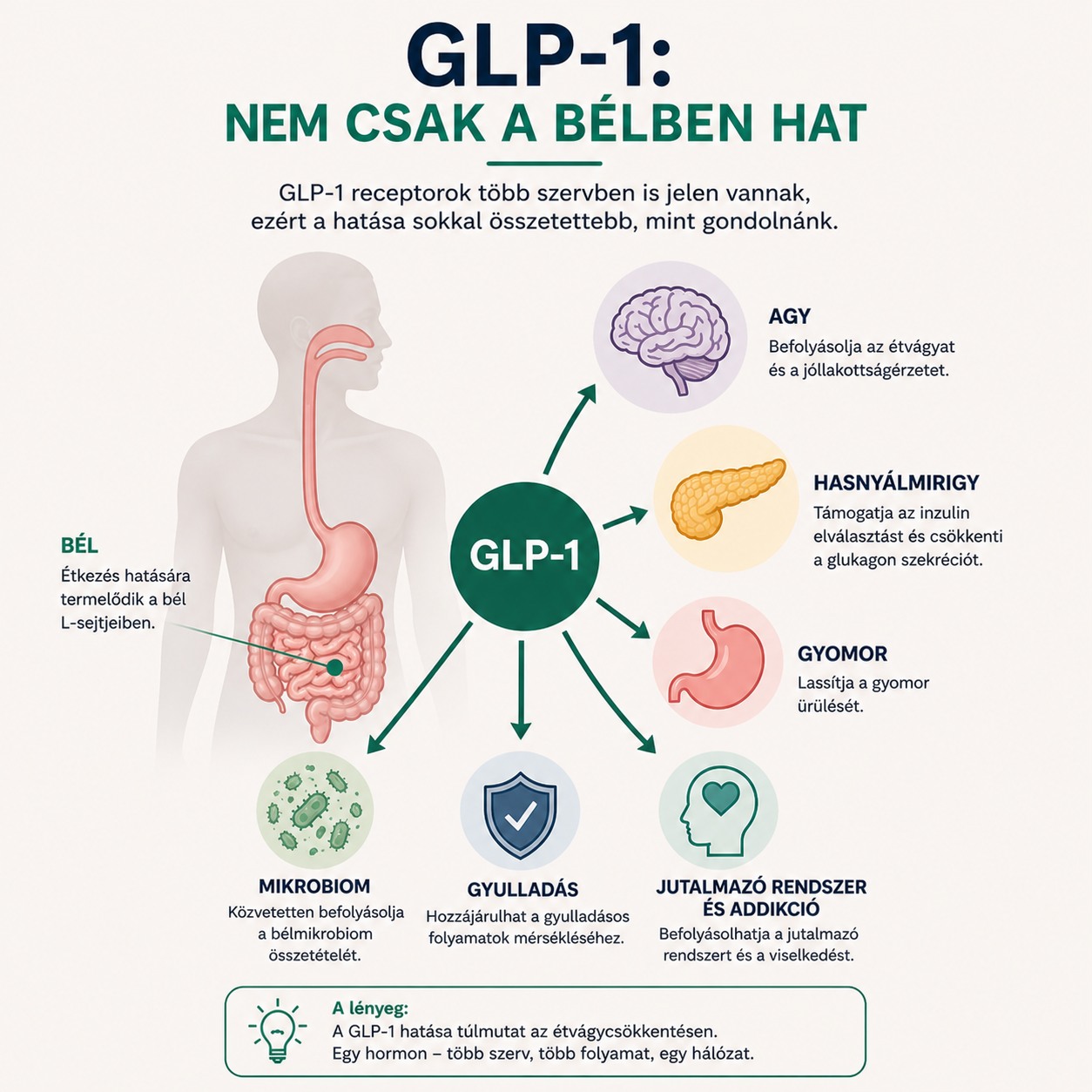 GLP-1 receptor agonisták: új „csodaszerek” vagy régi ismerősök? glp 1